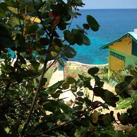 Banana Shout Resort